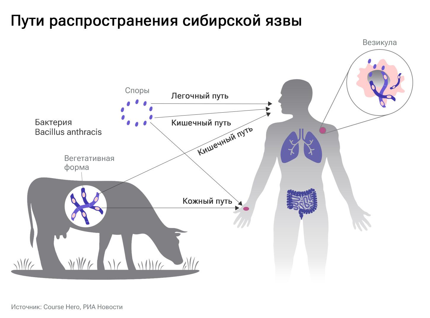 ПАМЯТКА.